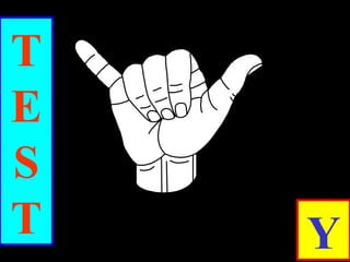 T
E
S
T Y
 