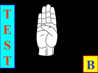 T
E
S
T B
 