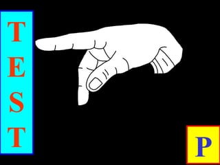 T
E
S
T P
 