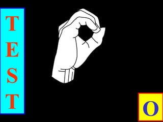T
E
S
T O
 