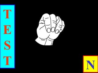 T
E
S
T N
 