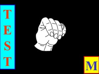 T
E
S
T M
 