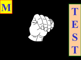 M T
E
S
T
 