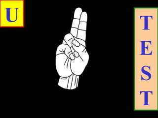 U T
E
S
T
 
