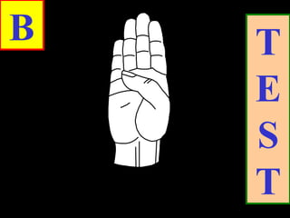 B T
E
S
T
 