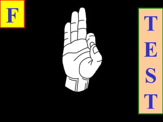 F T
E
S
T
 