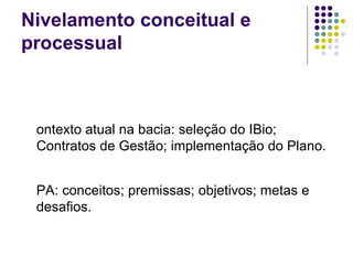 Nivelamento conceitual e processual Contexto atual na bacia: seleção do IBio; Contratos de Gestão; implementação do Plano. PPA: conceitos; premissas; objetivos; metas e desafios. 