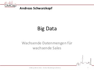 Andreas Schwarzkopf

Big Data
Wachsende Datenmengen für
wachsende Sales

OMCap Berlin 2013 - Online Marketing Konferenz

1

 
