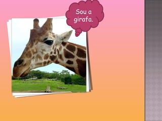 Sou a girafa. 