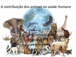 Animais  Trabalho realizado por : Ana Isabel nº 1 Catarina Monteiro A contribuição dos animais na saúde Humana 