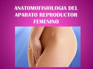 ANATOMOFISIOLOGIA DEL
APARATO REPRODUCTOR
      FEMENINO
 