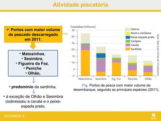 Atividade piscatória
 Portos com maior volume
de pescado descarregado
em 2011:
Fig. Portos de pesca com maior volume de
desembarque, segundo as principais espécies (2011).
• predomínio da sardinha,
• à exceção de Olhão e Sesimbra
(sobressaiu a cavala e o peixe-
espada preto.
• Matosinhos,
• Sesimbra,
• Figueira da Foz,
• Peniche
• Olhão,
 