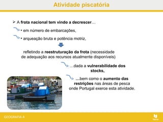 Atividade piscatória
 A frota nacional tem vindo a decrescer…
• em número de embarcações,
• arqueação bruta e potência motriz,
refletindo a reestruturação da frota (necessidade
de adequação aos recursos atualmente disponíveis)
…bem como o aumento das
restrições nas áreas de pesca
onde Portugal exerce esta atividade.
…dada a vulnerabilidade dos
stocks,
 