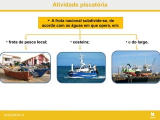 Atividade piscatória
 A frota nacional subdivide-se, de
acordo com as águas em que opera, em:
• frota de pesca local; • costeira; • e do largo.
 