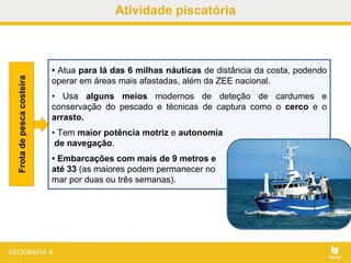 Atividade piscatória
• Atua para lá das 6 milhas náuticas de distância da costa, podendo
operar em áreas mais afastadas, além da ZEE nacional.
• Usa alguns meios modernos de deteção de cardumes e
conservação do pescado e técnicas de captura como o cerco e o
arrasto.
• Tem maior potência motriz e autonomia
de navegação.
• Embarcações com mais de 9 metros e
até 33 (as maiores podem permanecer no
mar por duas ou três semanas).
Frotadepescacosteira
 