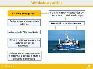 Atividade piscatória
A frota portuguesa…
Embora atue em pesqueiros
externos
sobretudo do Atlântico Norte
efetua a maior parte das suas
capturas em águas
nacionais…
destacando-se espécies como
a sardinha, a cavala, o atum e
similares e o carapau.
Constituída por embarcações de
pesca local, costeira e do largo
tem vindo a modernizar-se.
 