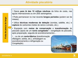 Atividade piscatória
• Opera para lá das 12 milhas náuticas da linha de costa, nas
águas internacionais ou em ZEE estrangeiras.
• Pode permanecer no mar durante longos períodos (podem ser de
meses).
• Utiliza técnicas modernas de deteção (sondas, satélite, etc.) e
captura de cardumes (redes de cerco e arrasto, etc.).
• Equipada com meios de conservação e transformação do
pescado (apoio de um navio congelador – congelação do pescado,
após preparação, seguida de acondicionamento)…
• …ou de um navio-fábrica (transformação
(filetagem, esfola, etc.), embalagem ou
acondicionamento e refrigeração ou
Congelação).
Frotadepescadolargo
 