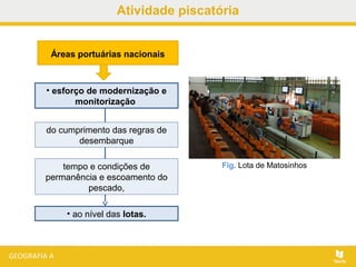 • ao nível das lotas.
Atividade piscatória
Fig. Lota de Matosinhos
Áreas portuárias nacionais
• esforço de modernização e
monitorização
do cumprimento das regras de
desembarque
tempo e condições de
permanência e escoamento do
pescado,
 