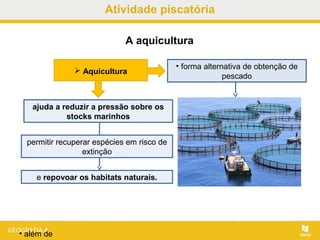 Atividade piscatória
• além de
A aquicultura
• forma alternativa de obtenção de
pescado
 Aquicultura
ajuda a reduzir a pressão sobre os
stocks marinhos
permitir recuperar espécies em risco de
extinção
e repovoar os habitats naturais.
 