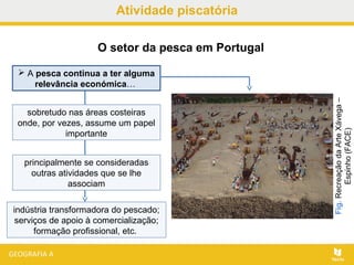 Atividade piscatória
 A pesca continua a ter alguma
relevância económica…
O setor da pesca em Portugal
sobretudo nas áreas costeiras
onde, por vezes, assume um papel
importante
principalmente se consideradas
outras atividades que se lhe
associam
indústria transformadora do pescado;
serviços de apoio à comercialização;
formação profissional, etc.
Fig.RecreaçãodaArteXávega–
Espinho(FACE)
 