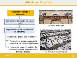 Atividade piscatória
Subsetor da salga e
secagem:
tradicional implantação no nosso
país
depende quase exclusivamente
do bacalhau
quotas de pesca são reduzidas.
Portugal é o maior consumidor
mundial de bacalhau salgado seco
representa cerca de metade do
consumo nacional de peixe e 40%
das importações.
Fig. Praia da Nazaré
Fig. Bacalhau a secar ao sol
 