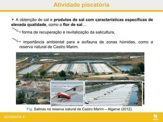 Atividade piscatória
 A obtenção de sal e produtos de sal com características específicas de
elevada qualidade, como a flor de sal…
• forma de recuperação e revitalização da salicultura,
• importância ambiental para a avifauna de zonas húmidas, como a
reserva natural de Castro Marim.
Fig. Salinas na reserva natural de Castro Marim – Algarve (2012).
 