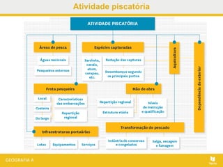 Atividade piscatória
 