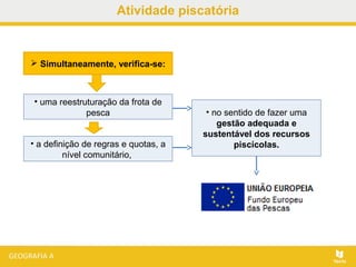  Simultaneamente, verifica-se:
• no sentido de fazer uma
gestão adequada e
sustentável dos recursos
piscícolas.• a definição de regras e quotas, a
nível comunitário,
• uma reestruturação da frota de
pesca
Atividade piscatória
 