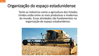 Organização do espaço estadunidense
Tanto as indústrias como a agricultura dos Estados
Unidos estão entre as mais produtivas e modernas
do mundo. Essas atividades são fundamentais na
organização do espaço estadunidense.
Tema 1
 
