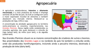 Agropecuária
A agricultura estadunidense, intensiva e altamente
mecanizada, é a mais produtiva do mundo e emprega
somente 2% da PEA do país. Os EUA se configuram como
o maior exportador mundial de alimentos e também
abastecem seu mercado interno. Destacam-se as
produções de trigo, milho e soja.
A concentração da atividade agropecuária no território
norte-americano se encontra, majoritariamente, nas
Grandes Planícies. Nessa região estão estabelecidos os
cinturões agrícolas, dos quais destacam o cinturão do
trigo (wheat belt), do milho (corn belt), e do algodão
(cotton belt).
Nas Grandes Planícies situam-se as maiores concentrações de criadores de suínos e bovinos.
Nas proximidades dos Grandes Lagos e no nordeste do país há também o cinturão verde,
onde são produzidas hortifrutigranjeira, incluindo ainda a pecuária intensiva, destinada à
produção de leite (dairy belt).
Tema 1
 