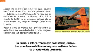Apesar da enorme concentração agropecuária,
nas Grandes Planícies existem importantes áreas
produtoras, como a Península da Flórida, que se
destacam na produção de cítricos. Já no sul do
Estado da Califórnia, os principais cultivos são de
frutas como uva, maçã e pêssego (fruticultura
irrigada)
Desde o Golfo do México até a porção central da
costa leste são plantadas frutas e cana-de-açúcar
no chamado Sun Belt (Cinturão do Sol).
Em suma, o setor agropecuário dos Estados Unidos é
bastante desenvolvido e consegue os melhores índices
de produtividade do mundo.
Tema 1
 