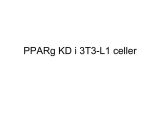 PPARg KD i 3T3-L1 celler 