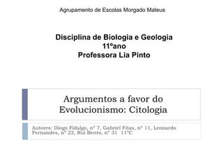 Argumentos a favor do
Evolucionismo: Citologia
Autores: Diogo Fidalgo, nº 7, Gabriel Fitas, nº 11, Leonardo
Fernandes, nº 22, Rui Bento, nº 31 11ºC
Agrupamento de Escolas Morgado Mateus
Disciplina de Biologia e Geologia
11ºano
Professora Lia Pinto
 