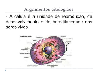 - A célula é a unidade de reprodução, de
desenvolvimento e de hereditariedade dos
seres vivos.
Argumentos citológicos
 