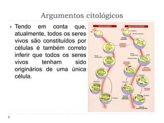 Argumentos citológicos
 Tendo em conta que,
atualmente, todos os seres
vivos são constituídos por
células é também correto
inferir que todos os seres
vivos tenham sido
originários de uma única
célula.
 