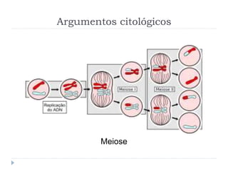 Argumentos citológicos
Meiose
 