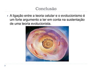 Conclusão
 A ligação entre a teoria celular e o evolucionismo é
um forte argumento a ter em conta na sustentação
de uma teoria evolucionista.
 