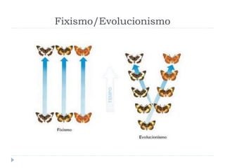 Fixismo/Evolucionismo
 