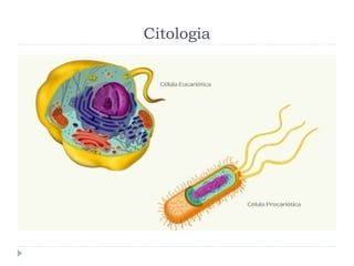 Citologia
 
