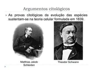 Argumentos citológicos
 As provas citológicas da evolução das espécies
sustentam-se na teoria celular formulada em 1839.
Matthias Jakob
Schleiden
Theodor Schwann
 