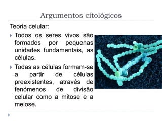 Argumentos citológicos
Teoria celular:
 Todos os seres vivos são
formados por pequenas
unidades fundamentais, as
células.
 Todas as células formam-se
a partir de células
preexistentes, através de
fenómenos de divisão
celular como a mitose e a
meiose.
 