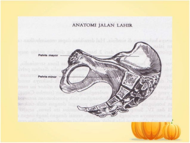 ASKEB II Faktor2 dlm Persalinan