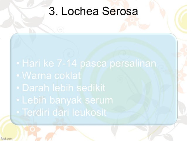 Perubahan fisiologis masa nifas