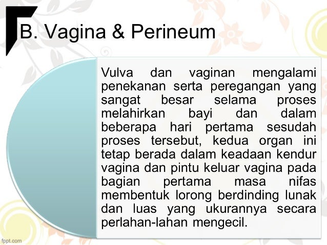 Perubahan Fisiologis Masa Nifas Perubahan Fisiologis Masa Nifas