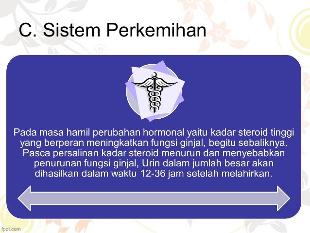 Perubahan fisiologis masa nifas