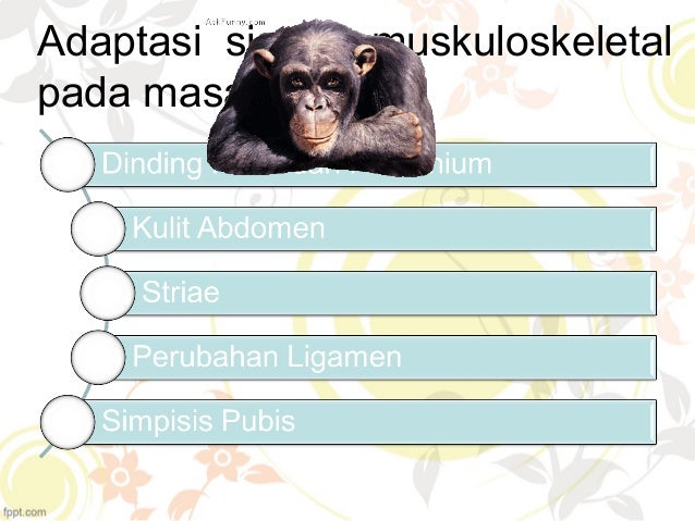 Perubahan fisiologis masa nifas