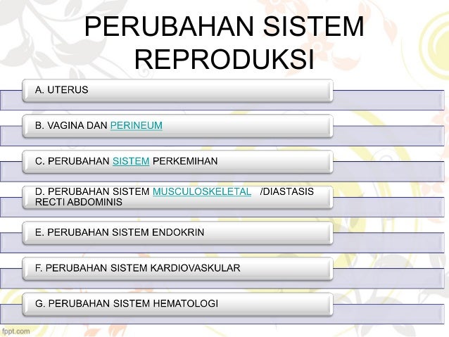 Perubahan Fisiologis Masa Nifas Perubahan Fisiologis Masa Nifas