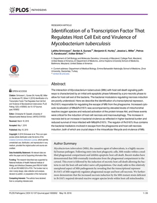 RESEARCH ARTICLE
Identification of a Transcription Factor That
Regulates Host Cell Exit and Virulence of
Mycobacterium tuberculosis
Lalitha Srinivasan1
, Serdar A. Gurses1¤
, Benjamin E. Hurley1
, Jessica L. Miller1
, Petros
C. Karakousis2
, Volker Briken1
*
1 Department of Cell Biology and Molecular Genetics, University of Maryland, College Park, Maryland,
United States of America, 2 Department of Medicine, Johns Hopkins University School of Medicine,
Baltimore, Maryland, United States of America
¤ Current address: Department of Medical Biology, Emine-Bahaeddin Nakıboğlu School of Medicine, Zirve
University, Gaziantep, Turkey
* vbriken@umd.edu
Abstract
The interaction of Mycobacterium tuberculosis (Mtb) with host cell death signaling path-
ways is characterized by an initial anti-apoptotic phase followed by a pro-necrotic phase to
allow for host cell exit of the bacteria. The bacterial modulators regulating necrosis induction
are poorly understood. Here we describe the identification of a transcriptional repressor,
Rv3167c responsible for regulating the escape of Mtb from the phagosome. Increased cyto-
solic localization of MtbΔRv3167c was accompanied by elevated levels of mitochondrial
reactive oxygen species and reduced activation of the protein kinase Akt, and these events
were critical for the induction of host cell necrosis and macroautophagy. The increase in
necrosis led to an increase in bacterial virulence as reflected in higher bacterial burden and
reduced survival of mice infected with MtbΔRv3167c. The regulon of Rv3167c thus contains
the bacterial mediators involved in escape from the phagosome and host cell necrosis
induction, both of which are crucial steps in the intracellular lifecycle and virulence of Mtb.
Author Summary
Mycobacterium tuberculosis (Mtb), the causative agent of tuberculosis, is a highly success-
ful human pathogen. Following entry into host phagocytic cells, Mtb resides within a mod-
ified phagosomal compartment and inhibits apoptotic host cell death. Recent studies have
demonstrated that Mtb eventually translocates from the phagosomal compartment to the
cytosol. This event is followed by the induction of necrotic host cell death allowing the bac-
teria to exit the host cell and infect naive cell populations. Our study adds to this relatively
unexplored aspect of Mtb pathogenesis by revealing that the transcriptional repressor
Rv3167c of Mtb negatively regulates phagosomal escape and host cell necrosis. We further-
more demonstrate that the increased necrosis induction by the Mtb mutant strain deficient
in Rv3167c required elevated reactive oxygen species levels within host cell mitochondria
PLOS Pathogens | DOI:10.1371/journal.ppat.1005652 May 18, 2016 1 / 29
a11111
OPEN ACCESS
Citation: Srinivasan L, Gurses SA, Hurley BE, Miller
JL, Karakousis PC, Briken V (2016) Identification of a
Transcription Factor That Regulates Host Cell Exit
and Virulence of Mycobacterium tuberculosis. PLoS
Pathog 12(5): e1005652. doi:10.1371/journal.
ppat.1005652
Editor: Christopher M. Sassetti, University of
Massachusetts Medical School, UNITED STATES
Received: March 18, 2016
Accepted: May 1, 2016
Published: May 18, 2016
Copyright: © 2016 Srinivasan et al. This is an open
access article distributed under the terms of the
Creative Commons Attribution License, which permits
unrestricted use, distribution, and reproduction in any
medium, provided the original author and source are
credited.
Data Availability Statement: All relevant data are
within the paper and its Supporting Information files.
Funding: The research described was supported by
National Institutes of Health/ National Institute of
Allergy and Infectious Diseases grant R56 AI114269
to VB and R01AI083125 to PCK. The funders had no
role in study design, data collection and analysis,
decision to publish, or preparation of the manuscript.
Competing Interests: The authors have declared
that no competing interests exist.
 
