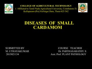 COLLEGE OF AGRICULTURAL TECHNOLOGY
( Affiliated to Tamil Nadu Agricultural University, Coimbatore-3)
Kullapuram (Po),ViaVaigai Dam, Theni-625 562
DISEASES OF SMALL
CARDAMOM
SUBMITTED BY COURSE TEACHER
M. UTHAYAKUMAR Dr. PARTHASARATHY. S
2015021134 Asst. Prof. PLANT PATHOLOGY
 