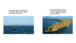 Insula Șerpilor (Ucraina, la 44 km la est
de Sulina): singura insulă pelagică
stâncoasă din Marea Neagră.
Capul Caliacra (Bulgaria, la 80 km
la sud de Constanța): ultimul sălaș
al focilor dispărute Monachus
monachus albiventer.
 